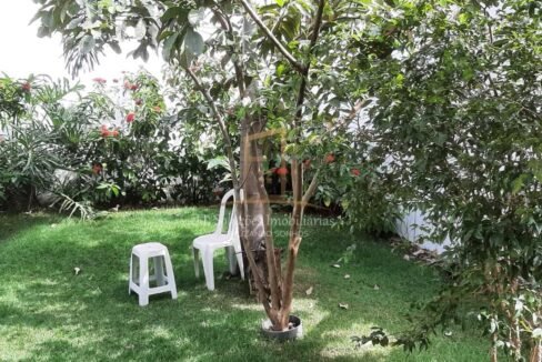 54ebc7d3-1c55-4fbc-8817-e78fda849b87