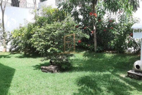 929d74c3-eda1-46e1-acd1-625960a2ea1a