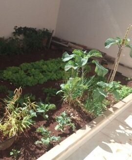 70b70ca6-2ea1-49fb-acdf-97ab813c95ff