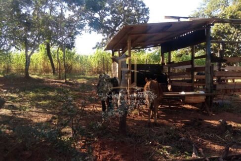 3b17b1a3-3d65-4d0a-b043-f7f3f55e3477