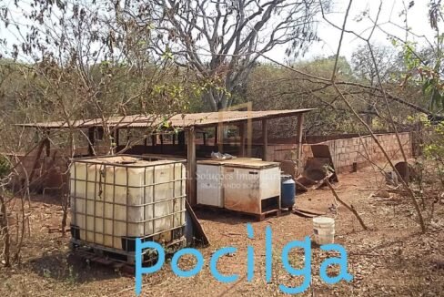 5bd45ec1-8061-4415-bd95-c58ca130788d