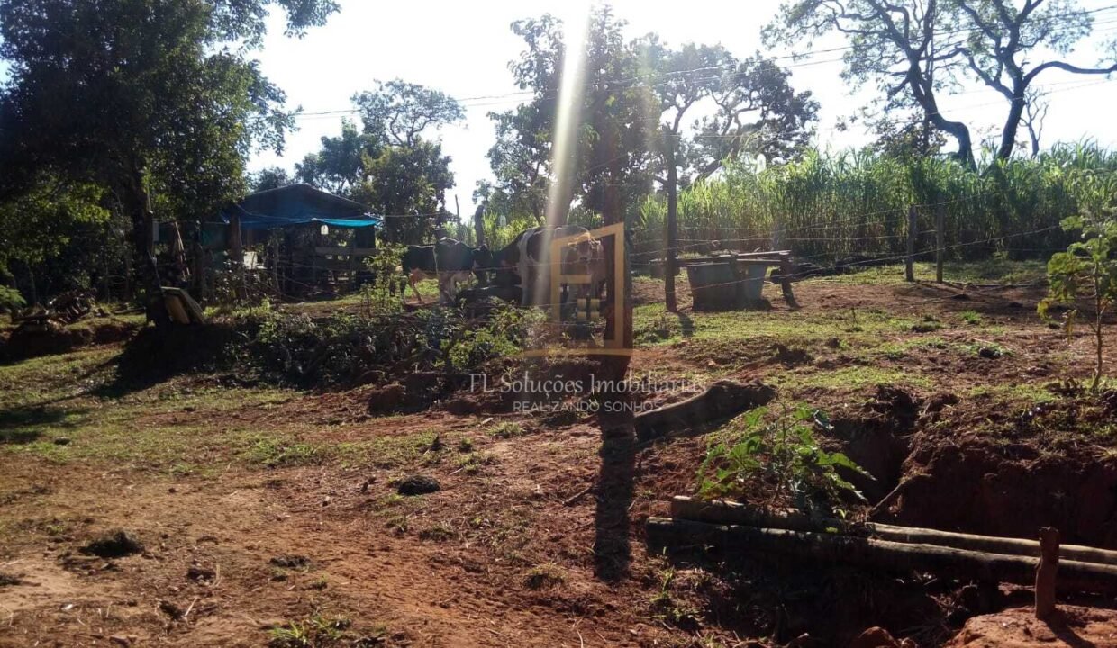 62db70b1-6e7e-4109-84b1-4d46e15d98fd