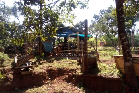 99e6c977-9475-4ed3-94a7-835503e929be