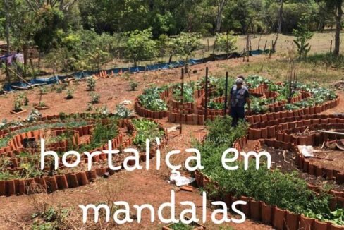 a0389721-21d9-4e82-8b94-a25380ba2009