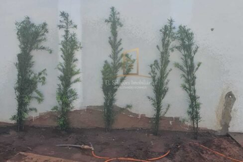 d4547175-95c7-43c5-a4ed-5a8211ecd31e