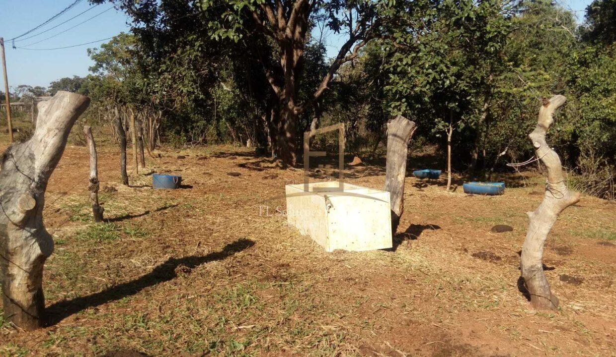 e635107b-55d0-4a54-8d15-b526f1e2c355