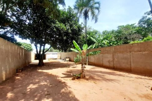 3c1ff38e-218b-49a4-9201-1311b68021f1